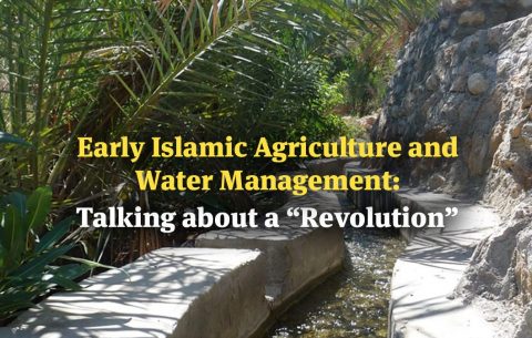 Early Islamic Agriculture and Water Management: Talking about a “Revolution”