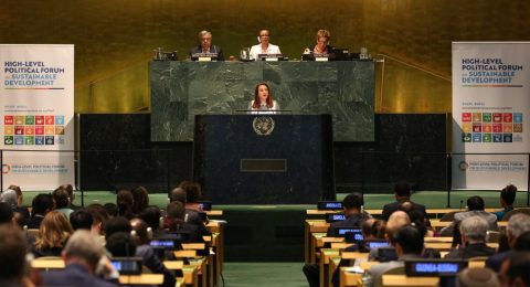 Approved-statement-of-IRIC-by-UN--Economic-and-Social-Council