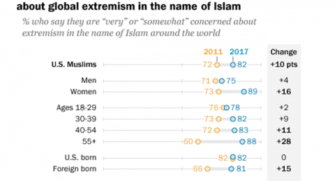 US-Muslims-concerned-about-extremism-in-the-name-of-Islam-640