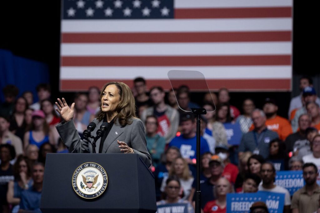 'Genocide must be our red line': Black Muslim leaders shun Harris for US president